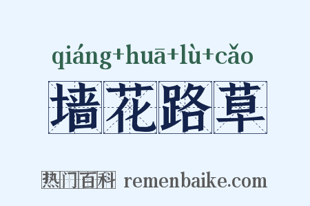 墙花路草是什么意思的图片